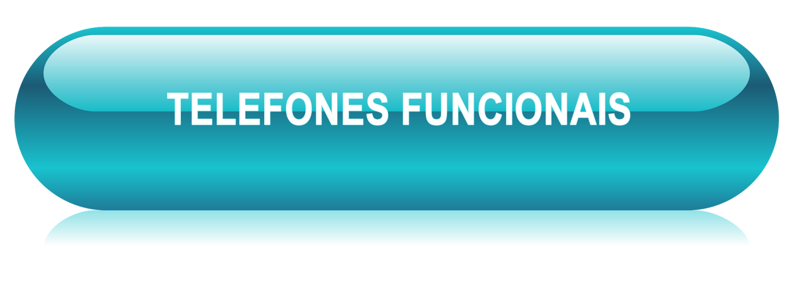 FONE FUNCIONAL