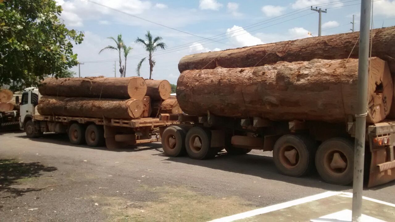 G1 - Artesão de RO transforma pedaços de madeira em miniaturas de caminhões  - notícias em Rondônia