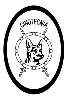 cinotecnia